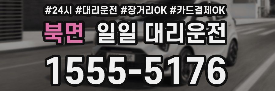 북면 일일 대리운전