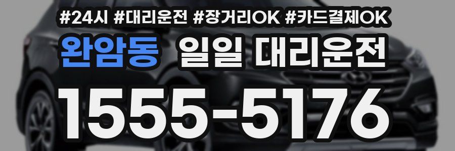 완암동 일일 대리운전