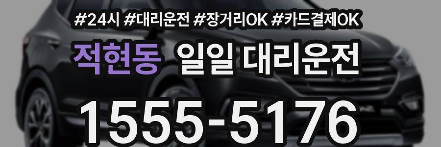 적현동 일일 대리운전