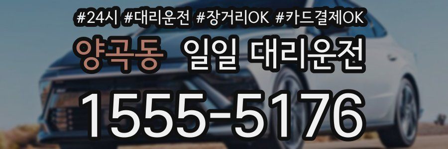 양곡동 일일 대리운전