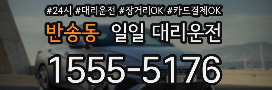 반송동 일일 대리운전