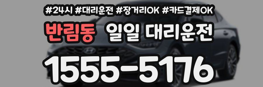 반림동 일일 대리운전