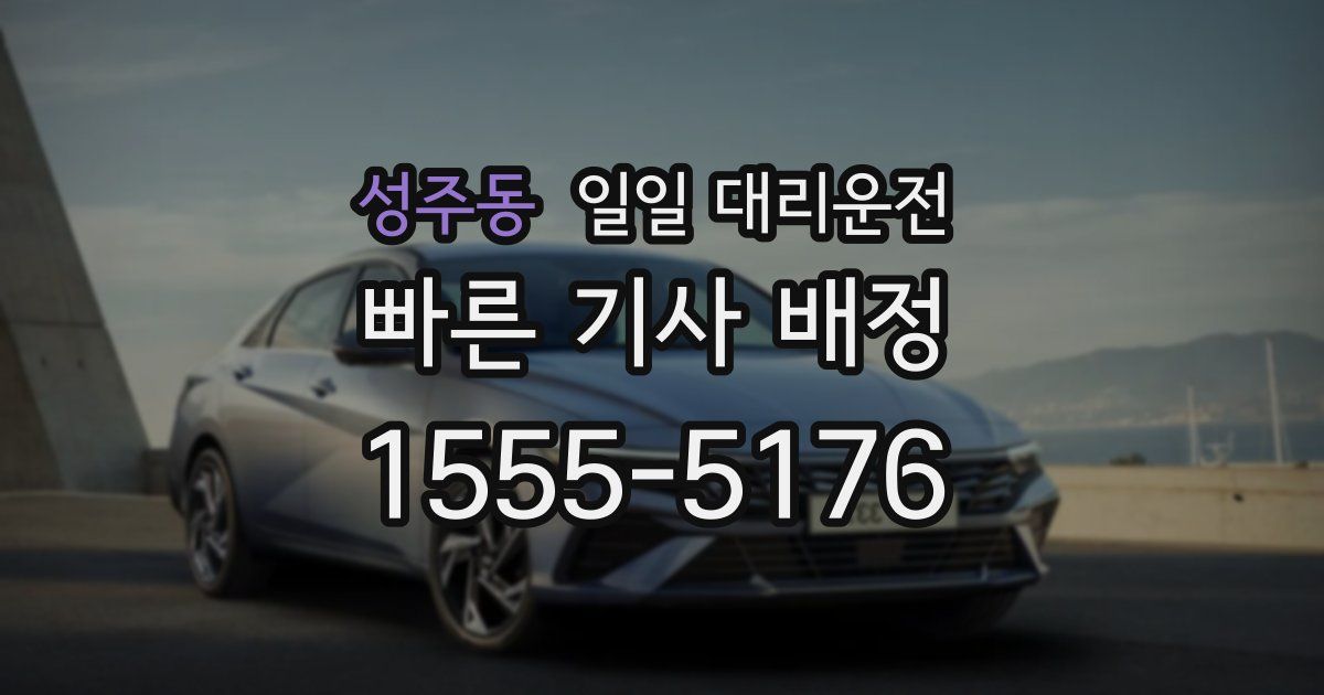 성주동 일일 대리운전