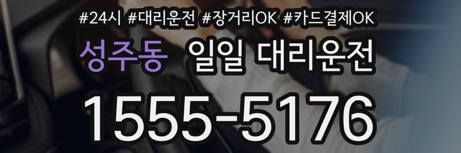 성주동 일일 대리운전