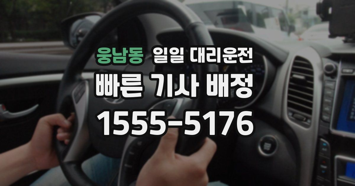 웅남동 일일 대리운전