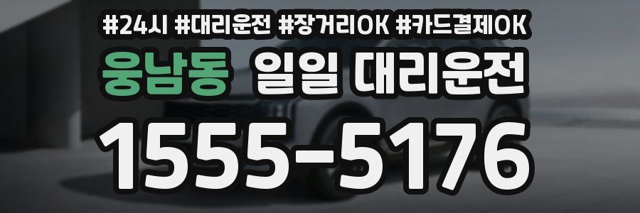 웅남동 일일 대리운전