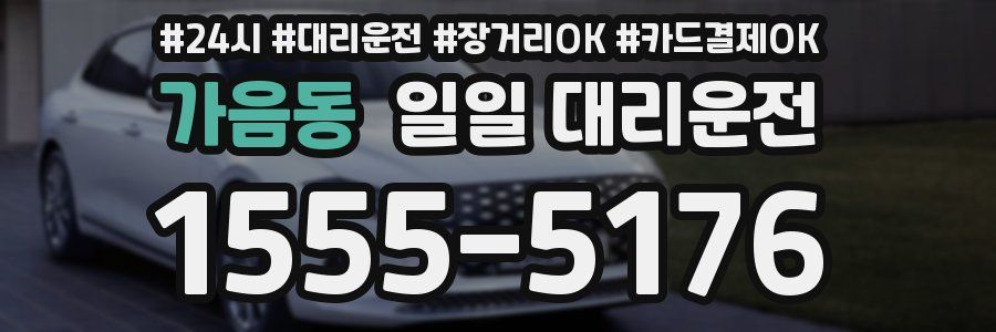 가음동 일일 대리운전