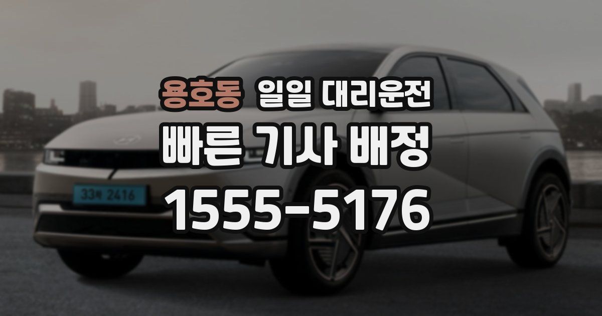 용호동 일일 대리운전