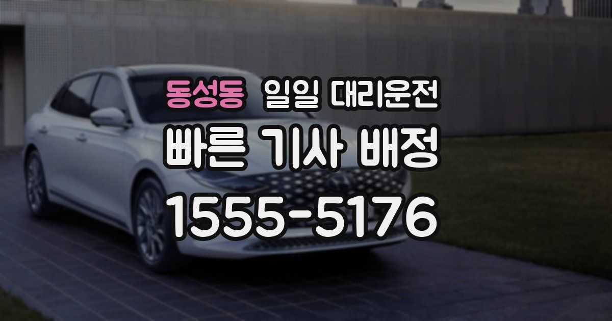 동성동 일일 대리운전