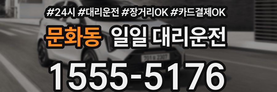 문화동 일일 대리운전