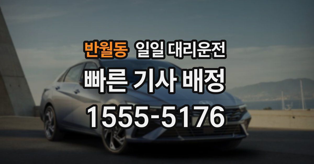 반월동 일일 대리운전