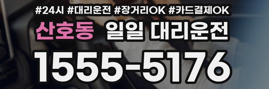 산호동 일일 대리운전