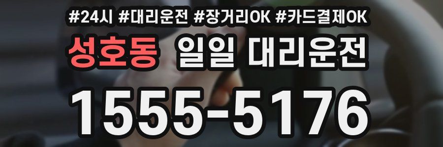 성호동 일일 대리운전
