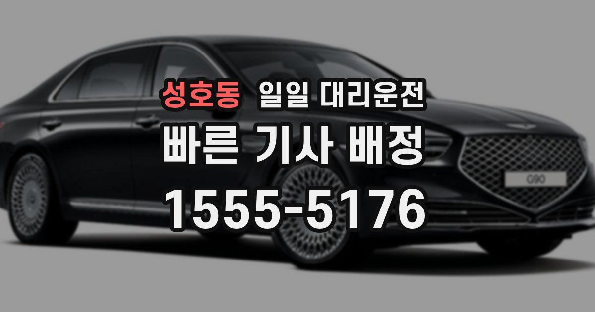 성호동 일일 대리운전