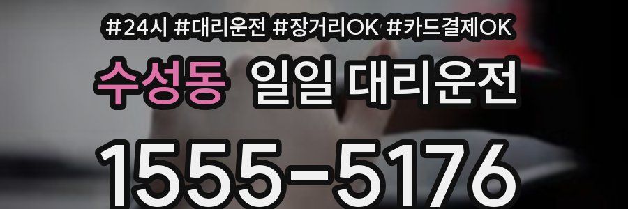 수성동 일일 대리운전