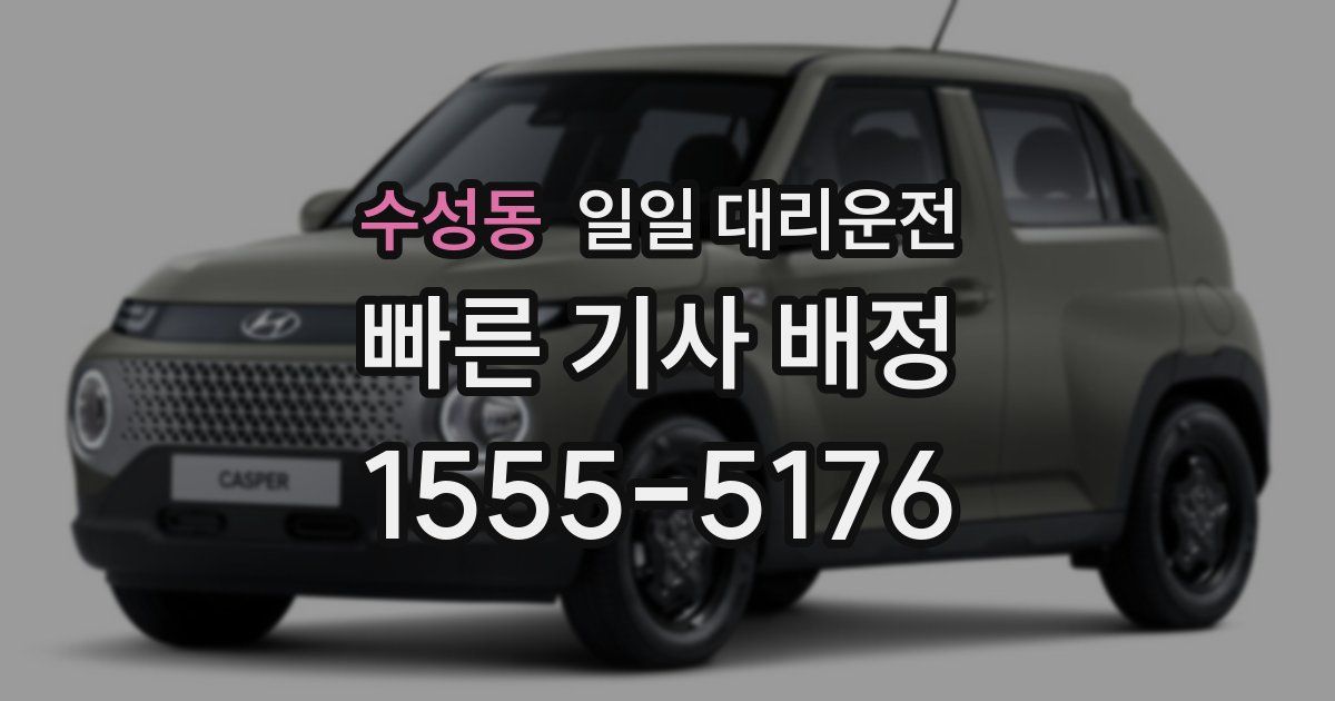 수성동 일일 대리운전