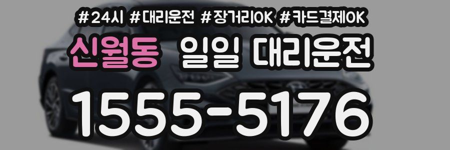 신월동 일일 대리운전