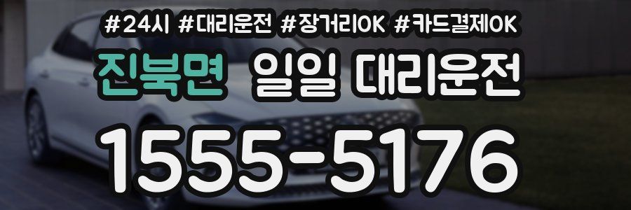 진북면 일일 대리운전
