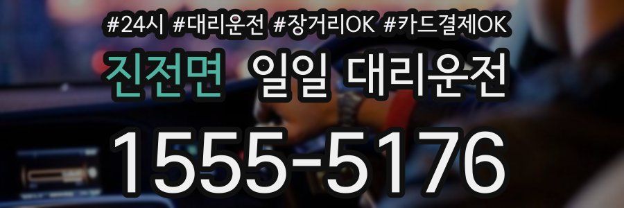 진전면 일일 대리운전
