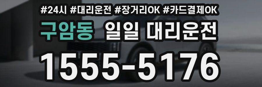 구암동 일일 대리운전