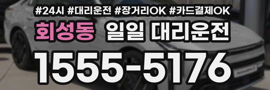 회성동 일일 대리운전