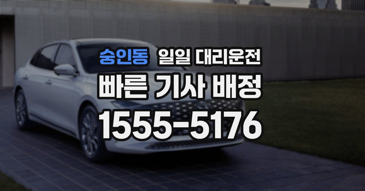 숭인동 일일 대리운전