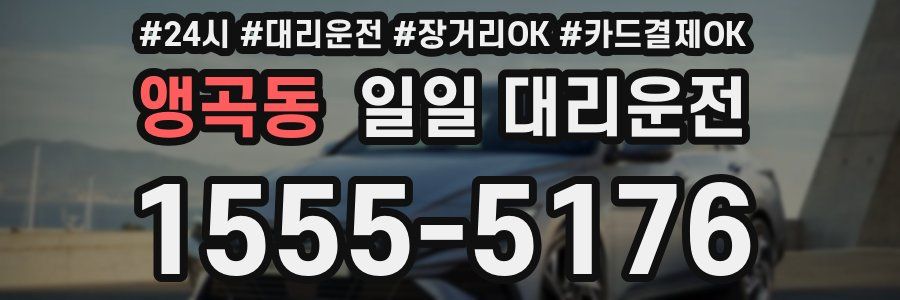 앵곡동 일일 대리운전