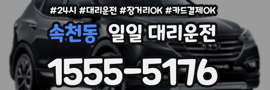 속천동 일일 대리운전