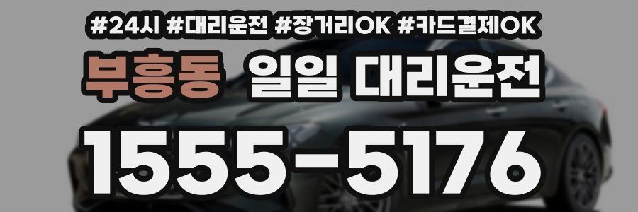 부흥동 일일 대리운전