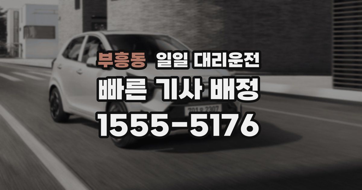 부흥동 일일 대리운전