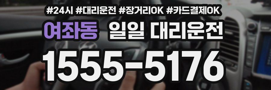 여좌동 일일 대리운전