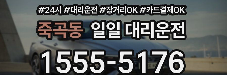 죽곡동 일일 대리운전