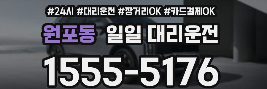 원포동 일일 대리운전