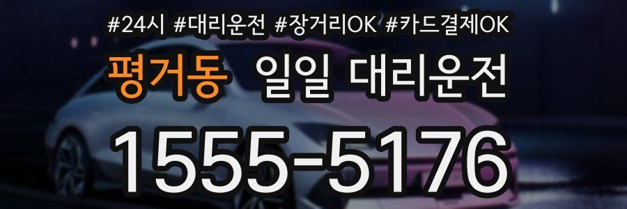 평거동 일일 대리운전
