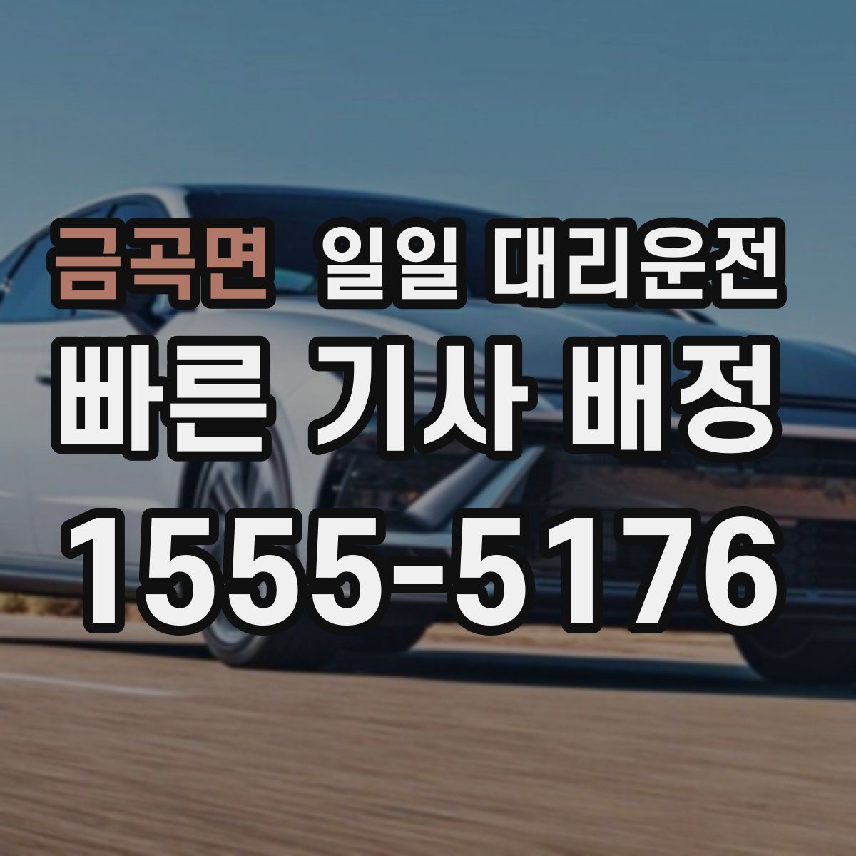 금곡면 일일 대리운전