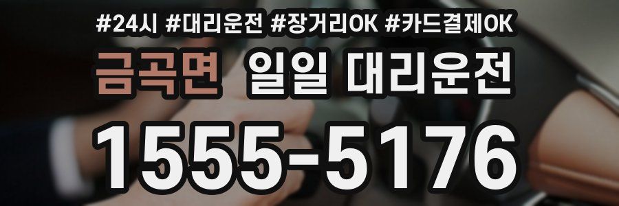 금곡면 일일 대리운전