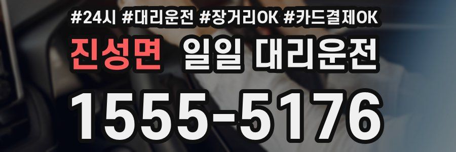 진성면 일일 대리운전