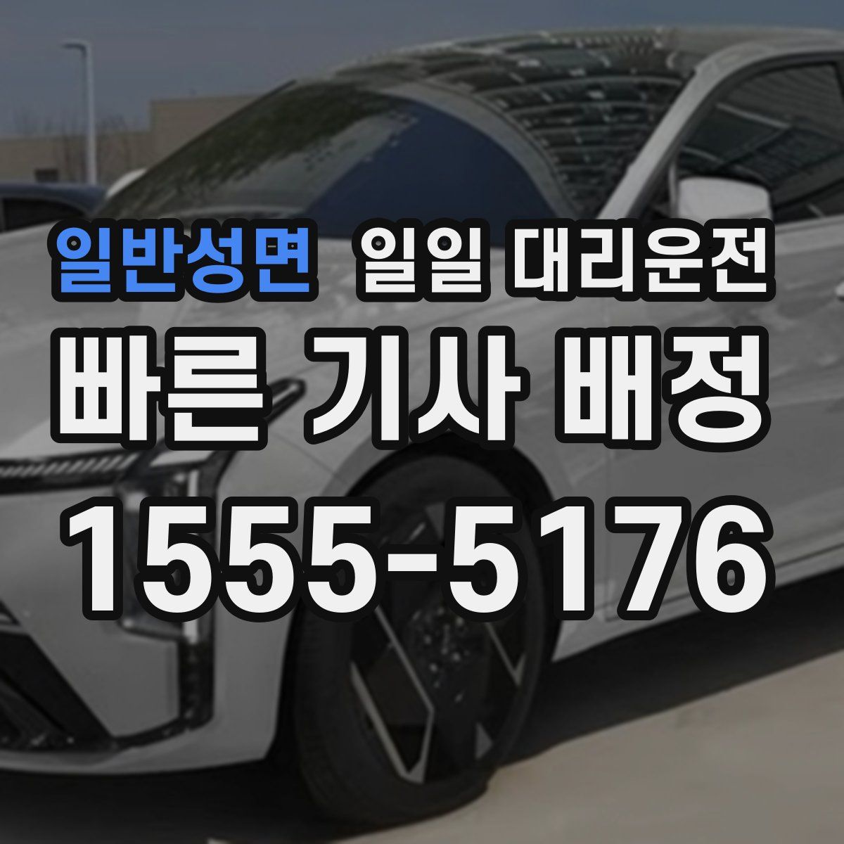 일반성면 일일 대리운전