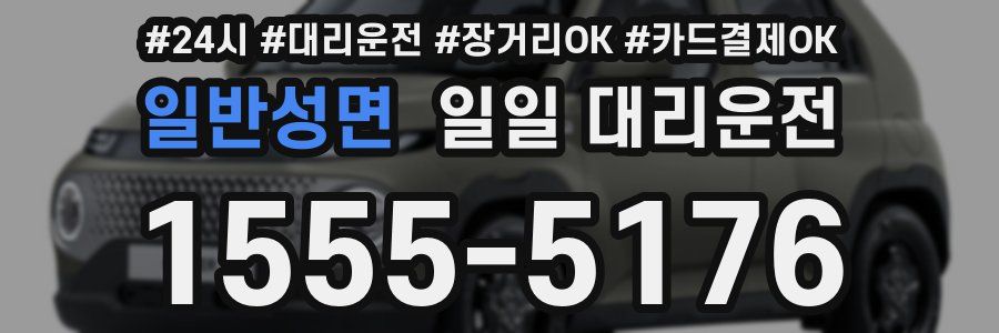 일반성면 일일 대리운전