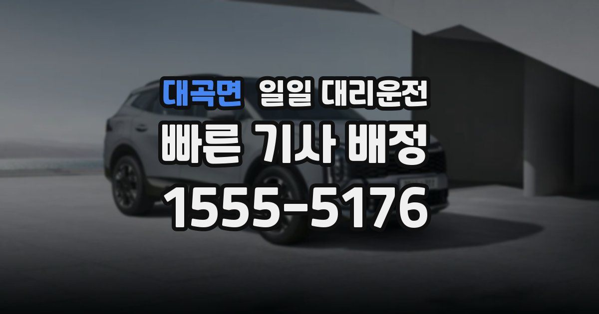 대곡면 일일 대리운전