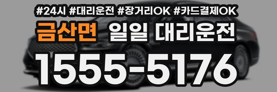 금산면 일일 대리운전