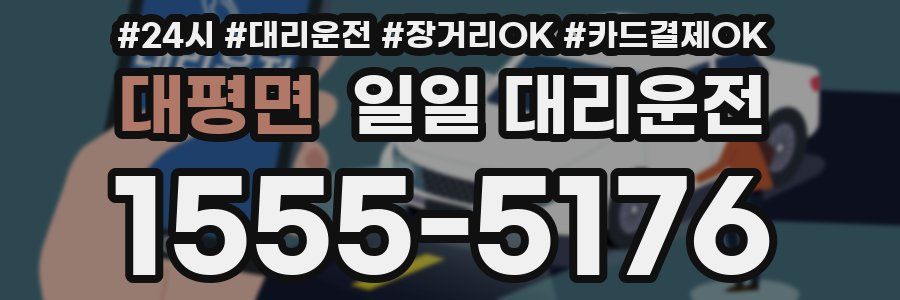 대평면 일일 대리운전