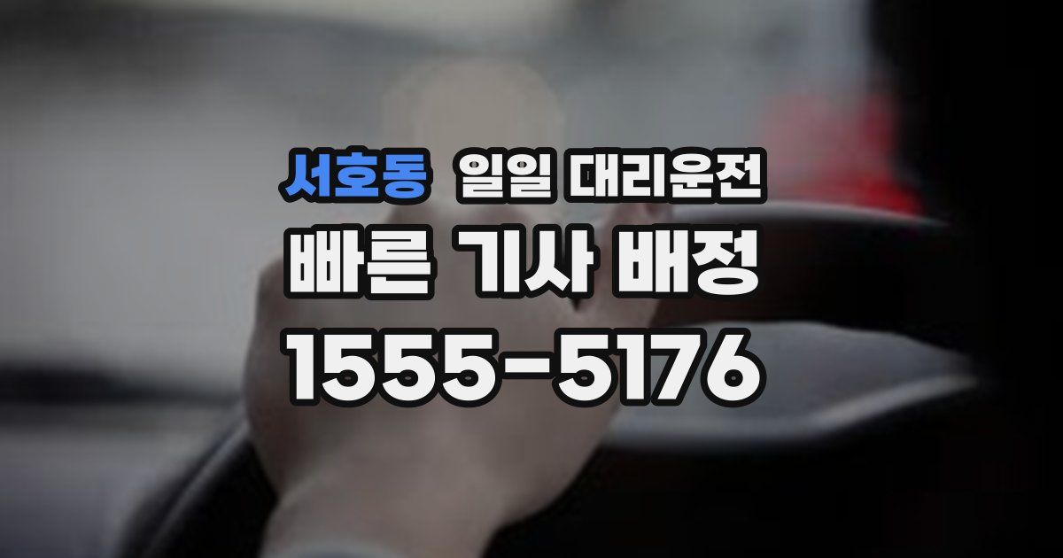 서호동 일일 대리운전