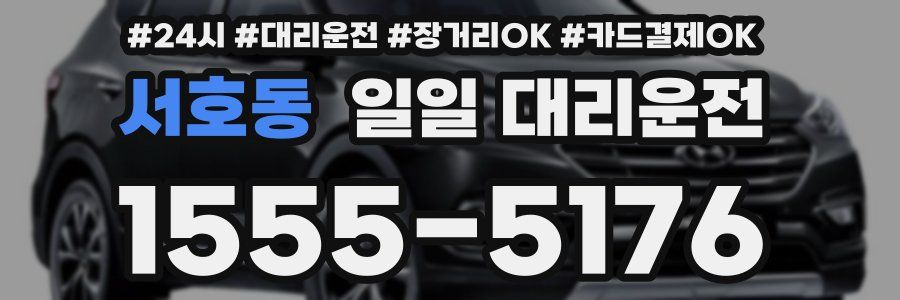 서호동 일일 대리운전