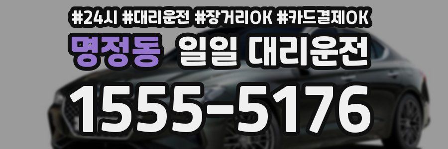 명정동 일일 대리운전
