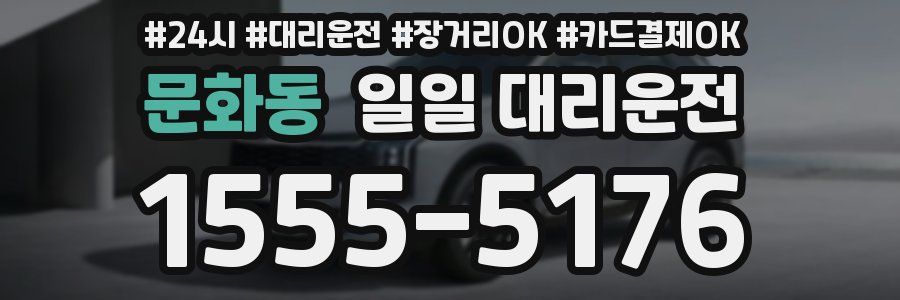 문화동 일일 대리운전