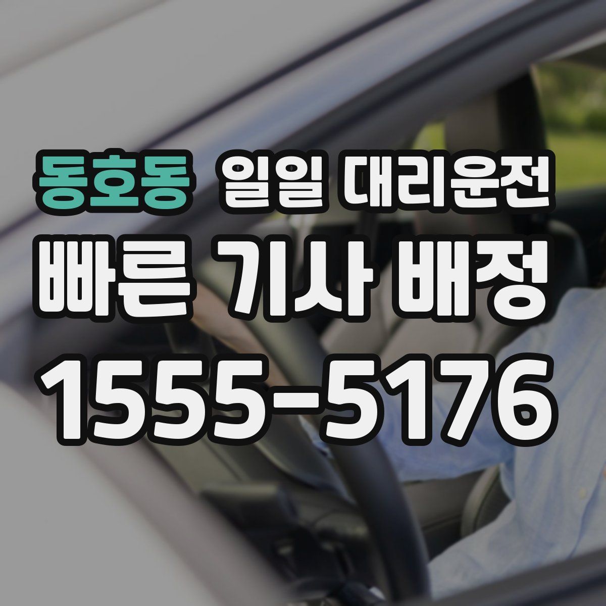 동호동 일일 대리운전