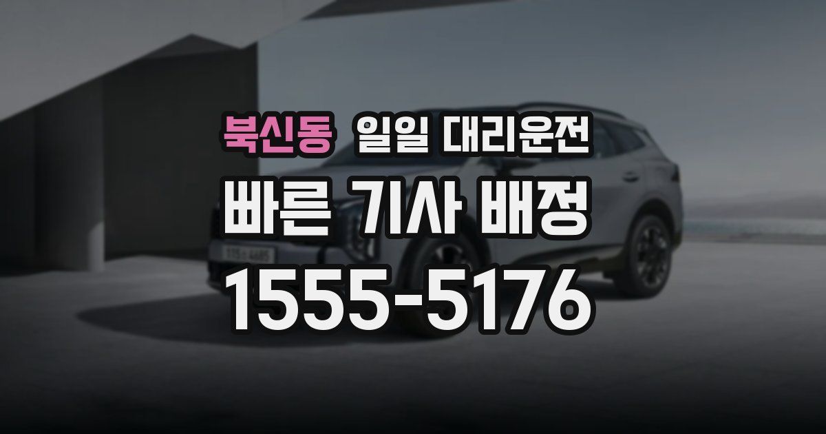 북신동 일일 대리운전