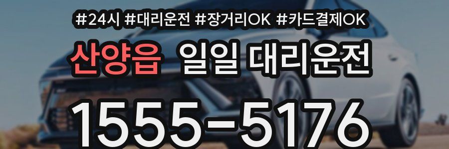 산양읍 일일 대리운전