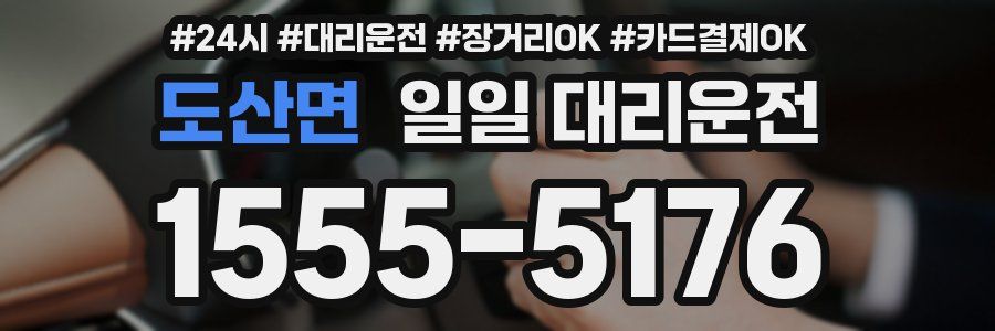 도산면 일일 대리운전
